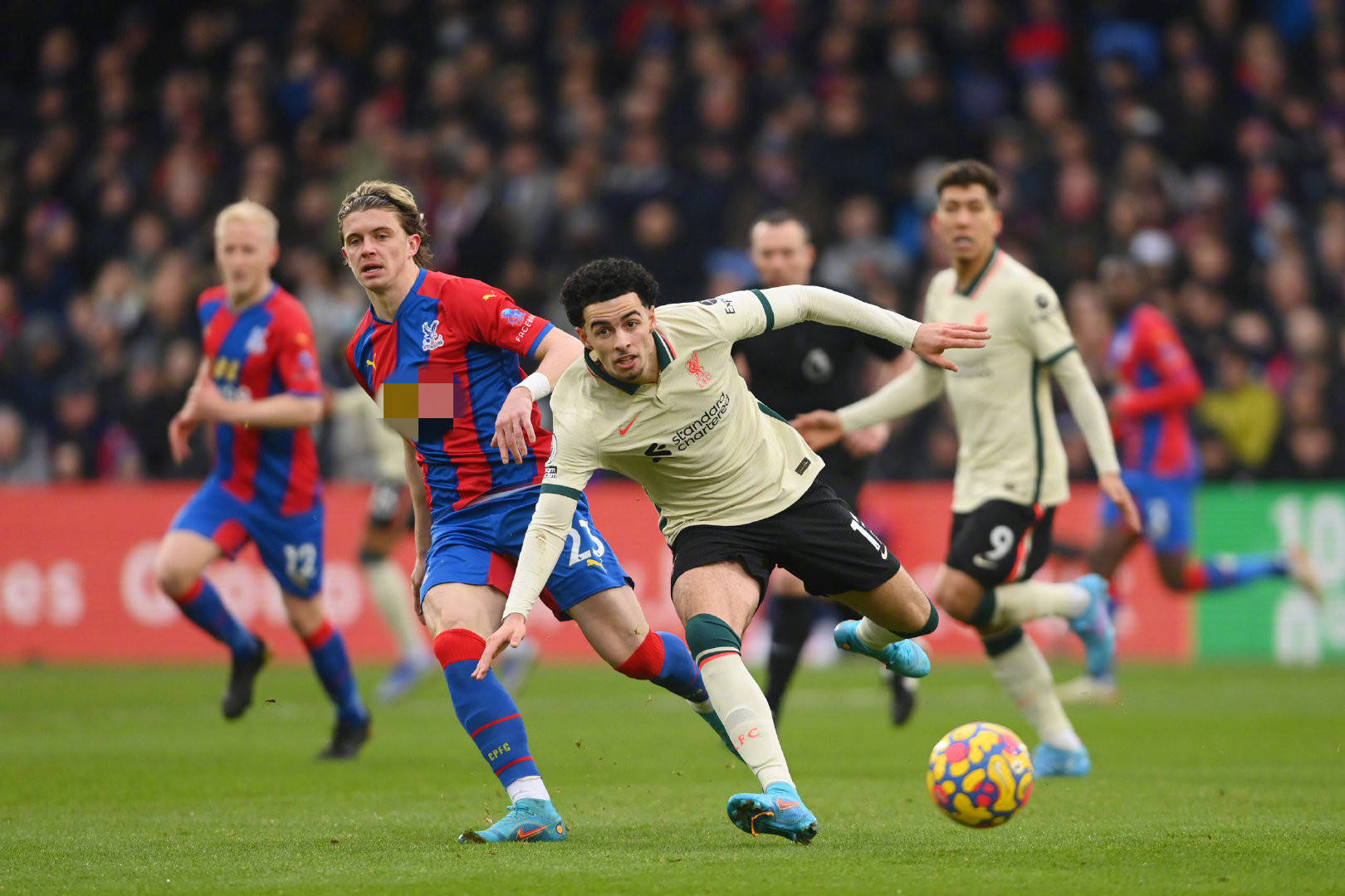 球迷的广泛 球迷的广泛