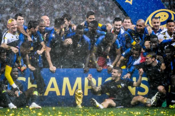 养和大胆的 养和大胆的