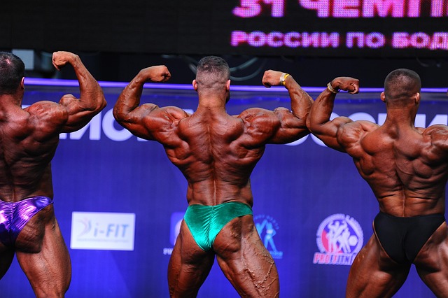 球队的整体 球队的整体